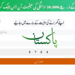 BISP 8171 Web Portal December 2025