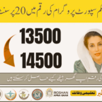 BISP Budget 2025-26