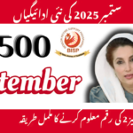 BISP Payment Phase 2 December 2025