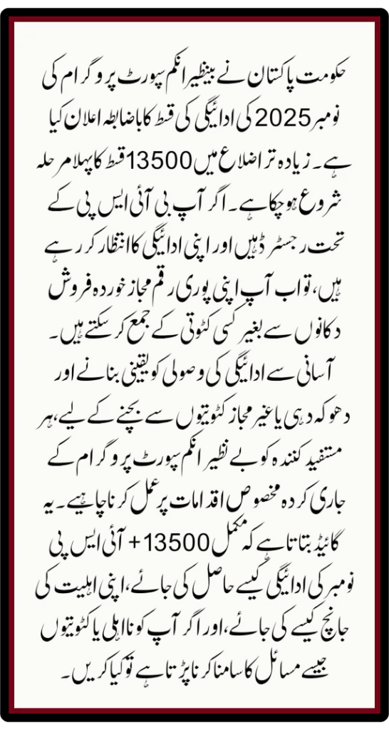 BISP Dynamic Survey Update 2025