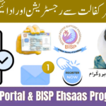 8171 Ehsaas Program 2025