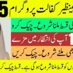 Check Your BISP Payment Instantly with 8171